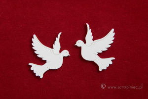 Gołębie duże/ big pigeons 2 szt