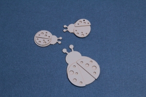 Biedronki zestaw 8 szt.