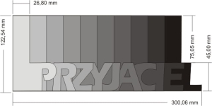 Wordbook PRZYJACIEL 12x30 cm