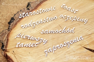 Zestaw słów WESELE