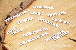 Zestaw słów Rozrabiaka