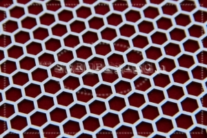 Plaster miodu arkusz