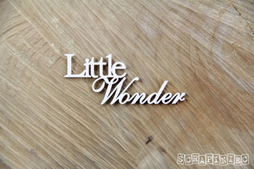 Little wonder.jpg