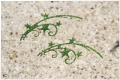 Brokat/ glitter Zawijasy stardust zielone