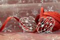 IMG_8217.png
