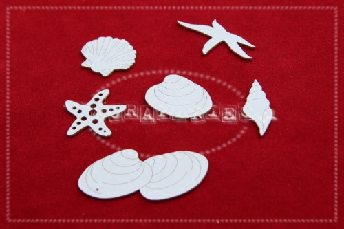 muszelki_elements_1.jpg