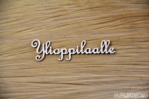 Ylioppilaalle - FIN - napis