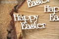 IMG_9857_wm.png
