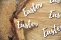 IMG_9852_wm.png