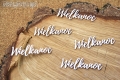 IMG_9851_wm.png