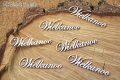 IMG_9849_wm.png