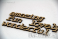 IMG_9910_wm.png