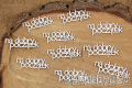 IMG_0079_wm.png