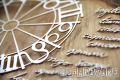 IMG_0395_wm.png