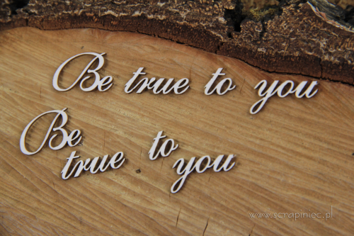 IMG_0879_wm.png
