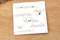 IMG_9379_wm.png
