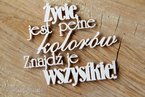 IMG_9632.png