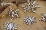 Flowers of Winter - Snowflakes - Płatki śniegu śnieżynki