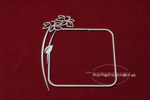Daffodil żonkil - ramka 04.jpg
