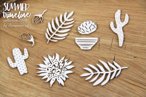 Summer travelove -succulents 01 - sukulenty 01