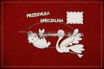 Bociany Przesyłka specjalna! zestaw