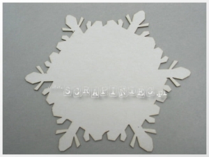 Śnieżka pełna 01 Rae '20 cm