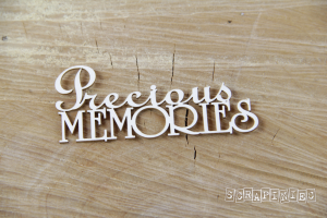 Precious MEMORIES napis