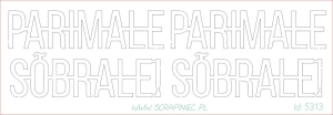 Parimale sõbrale! - EE - napis 2 szt.