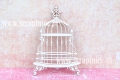 Tło zdjęcia: kolekcja Pastel UHK Gallery