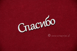 Cпасибо 1 [Dziękuję]
