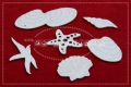 muszelki_elements.jpg