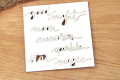 IMG_9380_wm.png