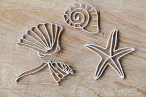 Preserve memories -  Shells/ Muszelki 