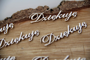 Dziękuję zestaw 6 napisów