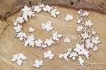 Grapevine - wreath and leaves - wieniec i liście
