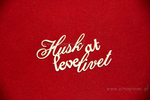hust at leve.png