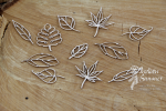 Indian Summer - Little leaves - Male listki