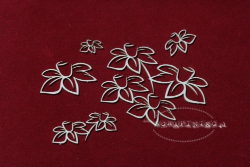 Daffodil petals.jpg
