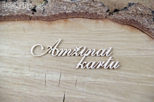 Amžinai kartu- LTU - napis