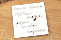 IMG_9381_wm.png