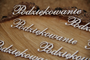 Podziękowania zestaw 10 napisów