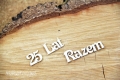 2740_2.JPG