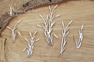 Water plants - Cattail - Pałka wodna